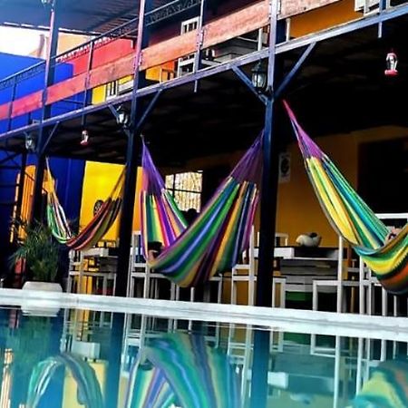 Hotel Chuburná المظهر الخارجي الصورة